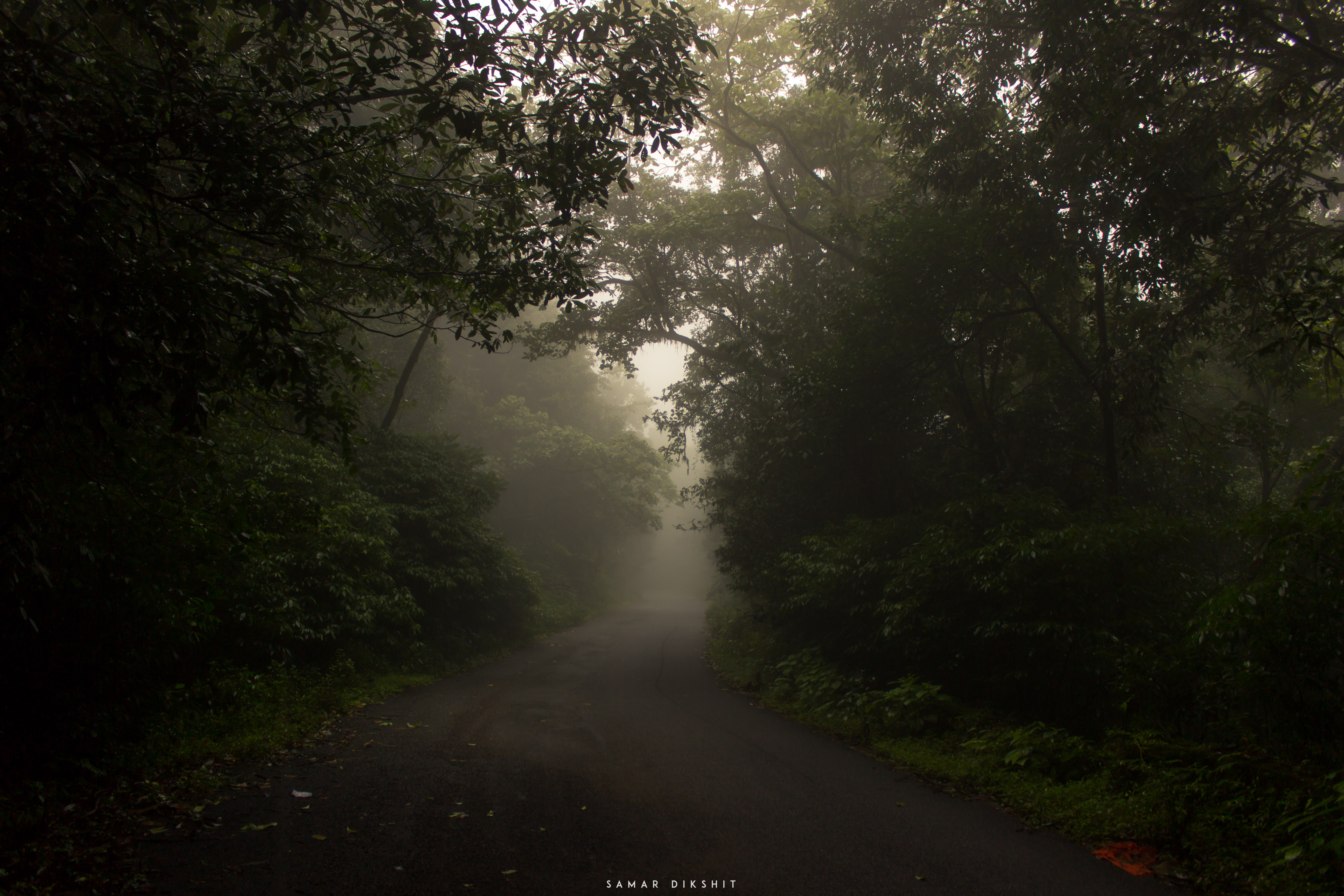 Sunrise at Kudremukh